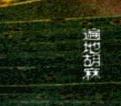 غ(9)