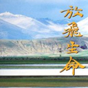 ŷɵ(39)