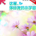ǣҵС(51)