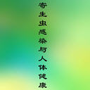 Ⱦ彡(5)