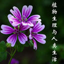 ֲ(6)
